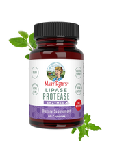 Lipase Protease Enzymes