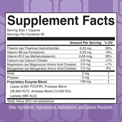 Lipase Protease Enzymes